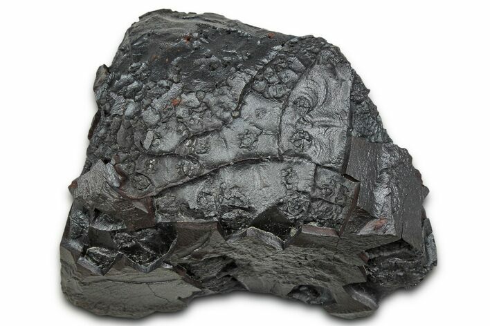 Dragon Scale Stone (Iron, Manganese, Siderite Nodule) #330326